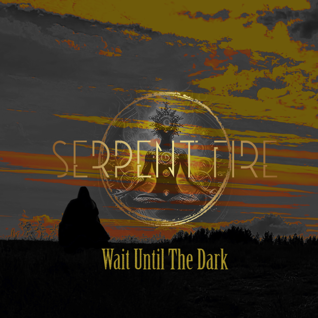 Wait Until the Dark